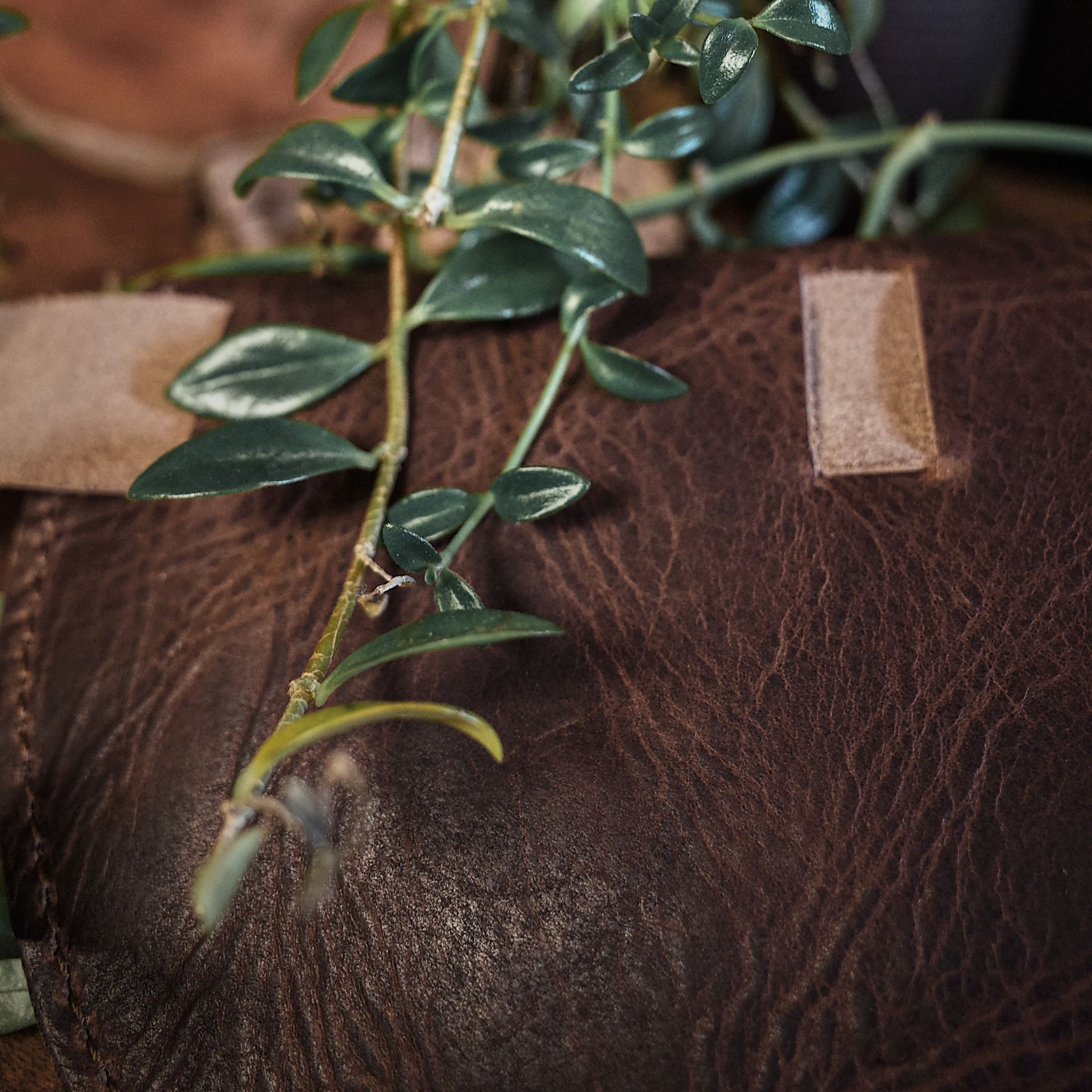 Sleek chocolate leather belt bag for parties and gatherings
